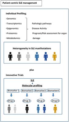 Current Status of the Evaluation and Management of Lupus Patients and Future Prospects